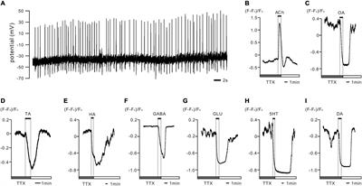 Neurotransmitters Affect Larval Development by Regulating the Activity of Prothoracicotropic Hormone-Releasing Neurons in Drosophila melanogaster